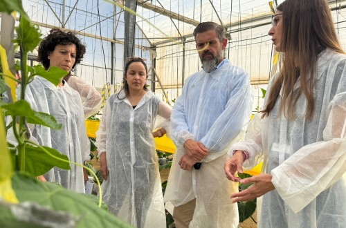 El proyecto “Macroalgae” convierte macroalgas andaluzas en bioinsumos agrícolas sostenibles