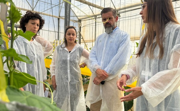 El proyecto “Macroalgae” convierte macroalgas andaluzas en bioinsumos agrícolas sostenibles