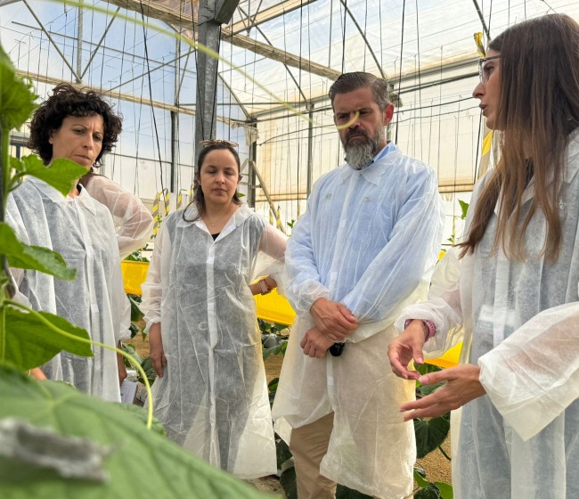 El proyecto “Macroalgae” convierte macroalgas andaluzas en bioinsumos agrícolas sostenibles