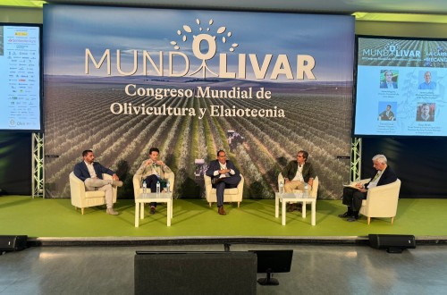Kubota impulsa la revolución tecnológica del olivar español en Mundolivar 2025