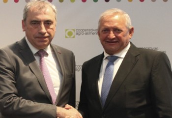 Cooperativas Agro-alimentarias y Agropelayo renuevan su alianza para impulsar el seguro agrario