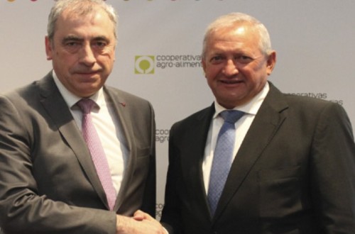 Cooperativas Agro-alimentarias y Agropelayo renuevan su alianza para impulsar el seguro agrario
