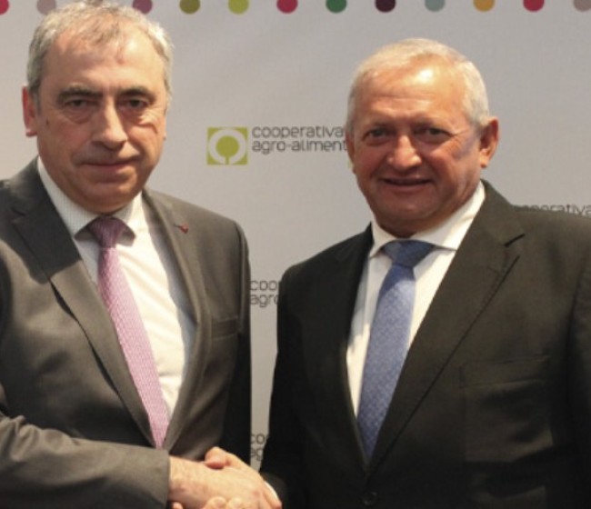 Cooperativas Agro-alimentarias y Agropelayo renuevan su alianza para impulsar el seguro agrario