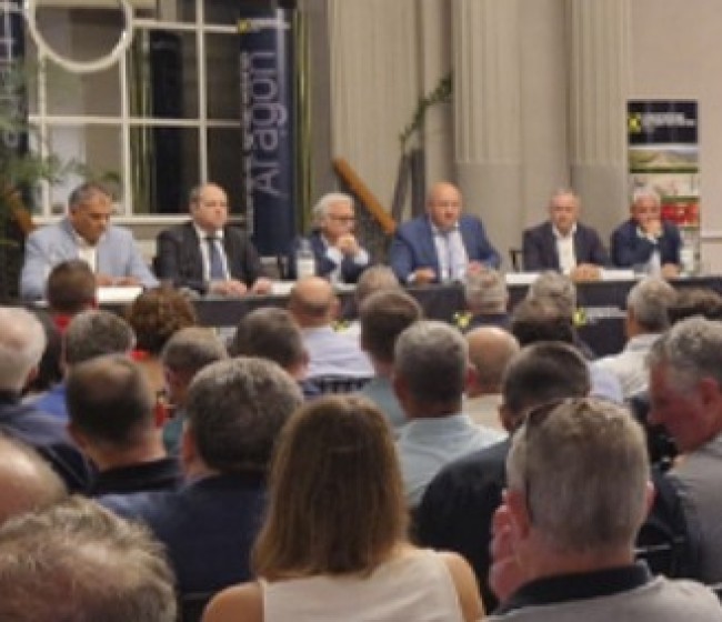 Las cooperativas agroalimentarias de Aragón facturan 938 millones a pesar de las negativas condiciones climatológicas