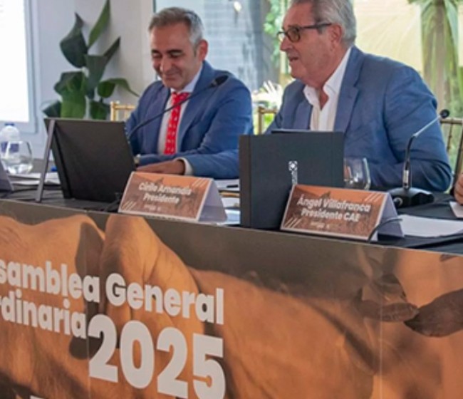 Las cooperativas agroalimentarias valencianas alcanzan en 2023 los 2.414 millones de euros de facturación