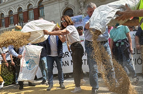 El sector cerealista español exige medidas urgentes al Gobierno