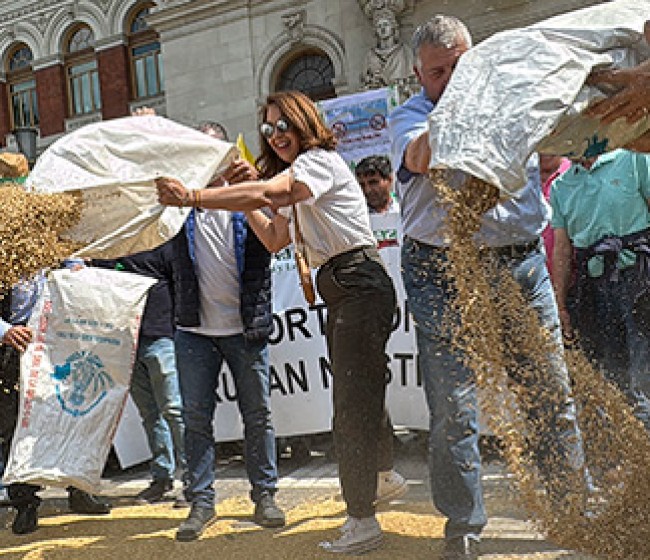 El sector cerealista español exige medidas urgentes al Gobierno