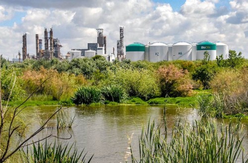 Copa-Cogeca pide tomar medidas ante el aumento de las importaciones fraudulentas de residuos para biocarburantes
