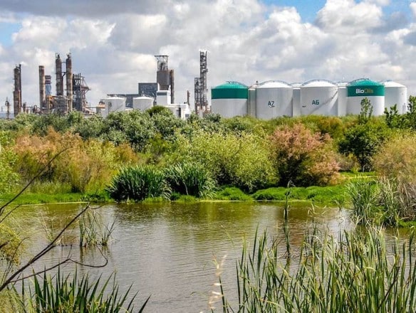 Copa-Cogeca pide tomar medidas ante el aumento de las importaciones fraudulentas de residuos para biocarburantes