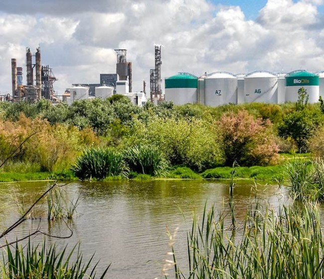 Copa-Cogeca pide tomar medidas ante el aumento de las importaciones fraudulentas de residuos para biocarburantes