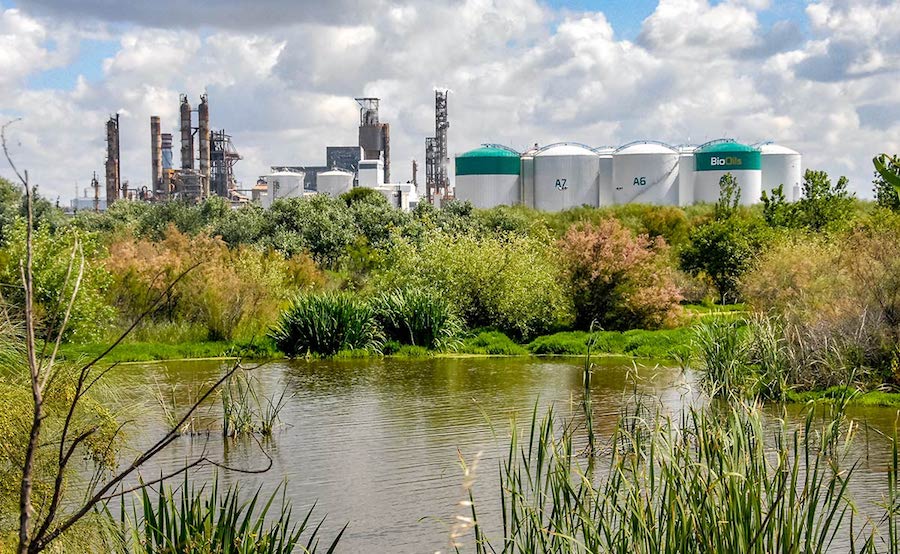 Copa-Cogeca pide tomar medidas ante el aumento de las importaciones fraudulentas de residuos para biocarburantes
