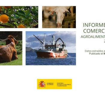 El sector agroalimentario y pesquero alcanza un saldo comercial récord de 19.232 millones de euros, un 21,2% más