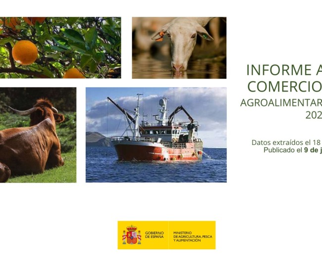 El sector agroalimentario y pesquero alcanza un saldo comercial récord de 19.232 millones de euros, un 21,2% más