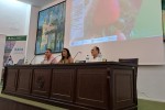 Ifapa presenta en Huelva los avances en variedades de fresa para mejorar la rentabilidad del cultivo