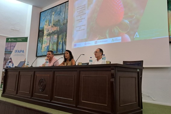Ifapa presenta en Huelva los avances en variedades de fresa para mejorar la rentabilidad del cultivo