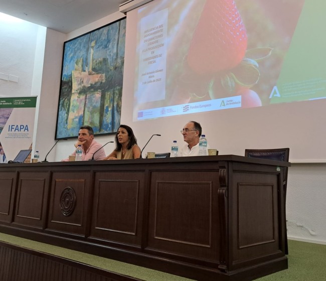 Ifapa presenta en Huelva los avances en variedades de fresa para mejorar la rentabilidad del cultivo