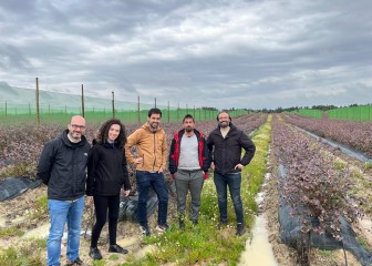 Yara y SanLucar se alían para impulsar la agricultura regenerativa en el cultivo de arándanos