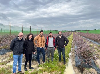 Yara y SanLucar se alían para impulsar la agricultura regenerativa en el cultivo de arándanos