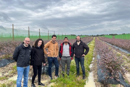 Yara y SanLucar se alían para impulsar la agricultura regenerativa en el cultivo de arándanos