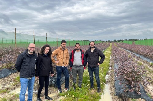 Yara y SanLucar se alían para impulsar la agricultura regenerativa en el cultivo de arándanos