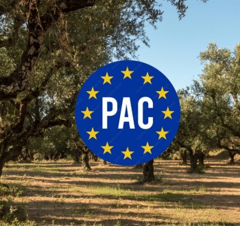 Los consejeros autonómicos de Agricultura rechazan la propuesta de la PAC de la Comisión Europea