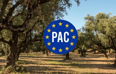 Entran en vigor normas para flexibilizar los requisitos ambientales y el control de la PAC