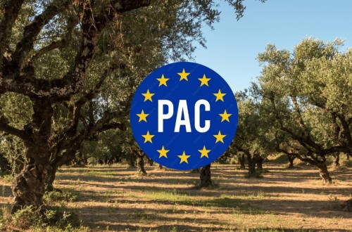 Asaja Valladolid exige un presupuesto PAC independiente y rechaza su integración en un fondo multisectorial