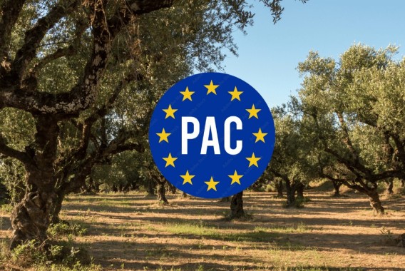 Asaja Valladolid exige un presupuesto PAC independiente y rechaza su integración en un fondo multisectorial