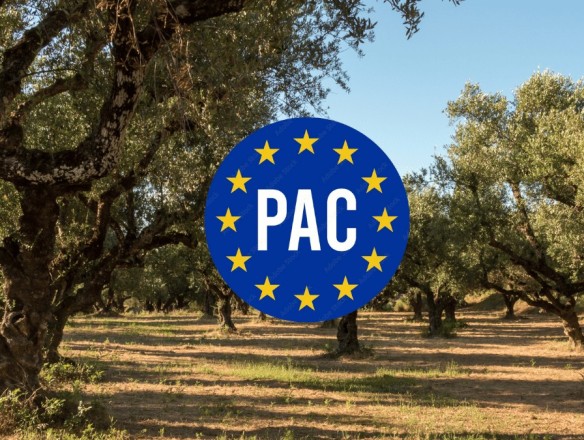 La Comisión Europea aprueba la modificación del plan estratégico de la PAC propuesta por España