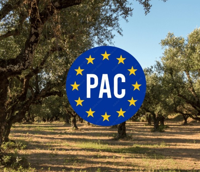 Asaja Valladolid exige un presupuesto PAC independiente y rechaza su integración en un fondo multisectorial
