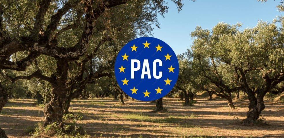 PAC