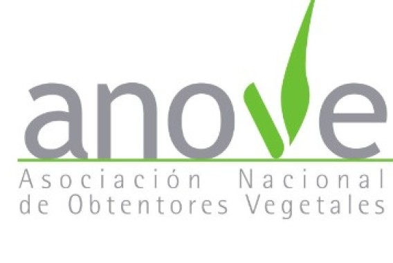 Material Vegetal de Reproducción, la normativa que afecta a toda la cadena
