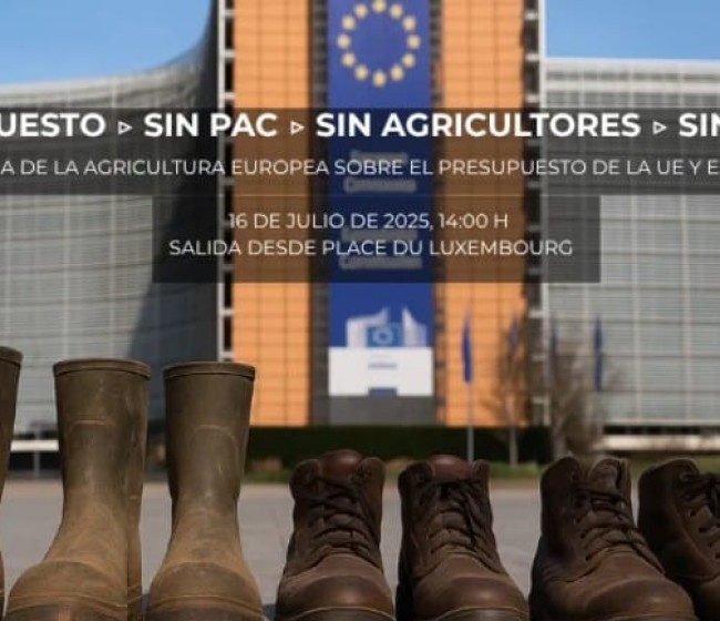 El campo europeo alza la voz en Bruselas contra los recortes a la PAC