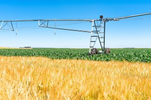 Sector_agrario