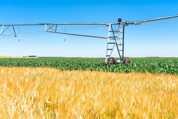 El sector agrario redujo un 2,7% su nivel de endeudamiento en el primer trimestre de 2025