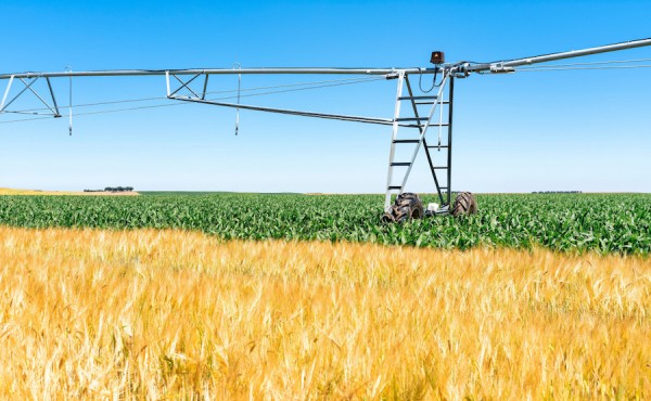El sector agrario redujo un 2,7% su nivel de endeudamiento en el primer trimestre de 2025
