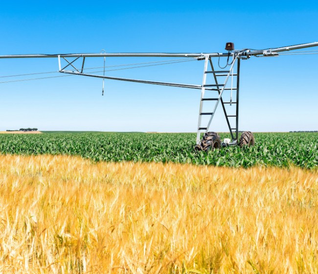 El sector agrario redujo un 2,7% su nivel de endeudamiento en el primer trimestre de 2025