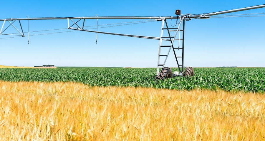 Sector_agrario