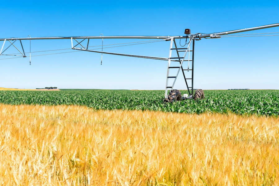 El sector agrario redujo un 2,7% su nivel de endeudamiento en el primer trimestre de 2025