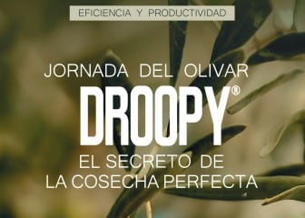 Lainco presenta Droopy® el nuevo bioestimulante para el sector del olivar