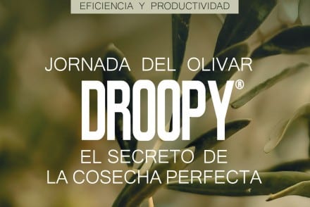 Lainco presenta Droopy® el nuevo bioestimulante para el sector del olivar