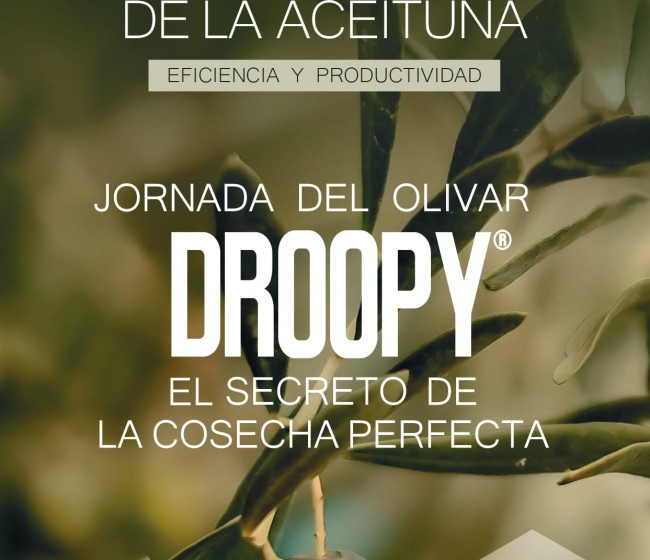 Lainco presenta Droopy® el nuevo bioestimulante para el sector del olivar