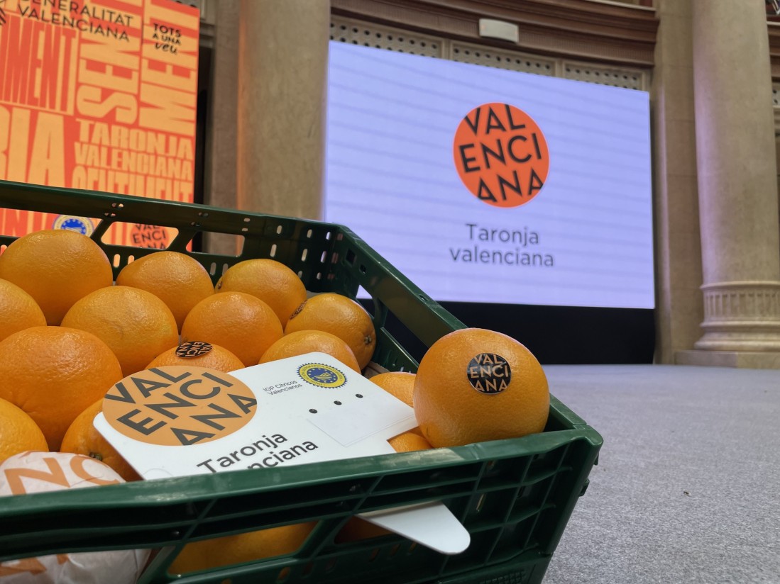 La UNIÓ denuncia que la Generalitat mantiene sin destino la partida de 1,42 millones para la promoción de cítricos