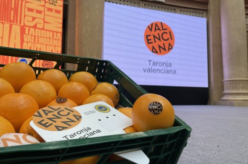 La UNIÓ denuncia que la Generalitat mantiene sin destino la partida de 1,42 millones para la promoción de cítricos
