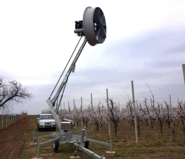 Climed Fruit: mejora de la resiliencia a los riesgos climáticos
