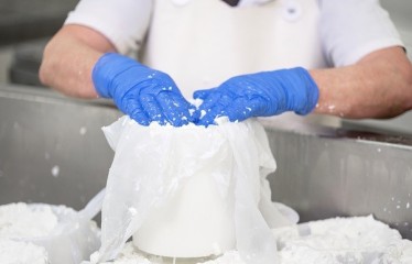 La Unión Europea registra la nueva Indicación Geográfica Protegida ‘Queso de Burgos’