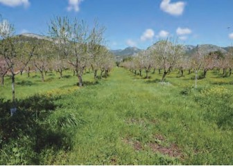 Climed Fruit: conservación de la biodiversidad en la región mediterránea para aumentar la resiliencia frente al cambio climático 