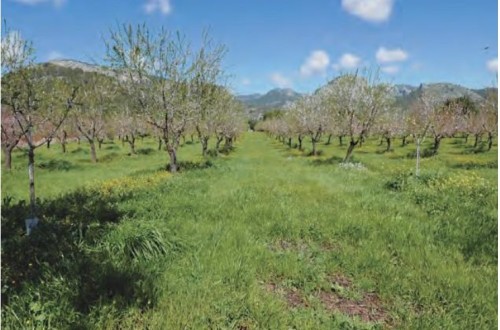 Climed Fruit: conservación de la biodiversidad en la región mediterránea para aumentar la resiliencia frente al cambio climático 