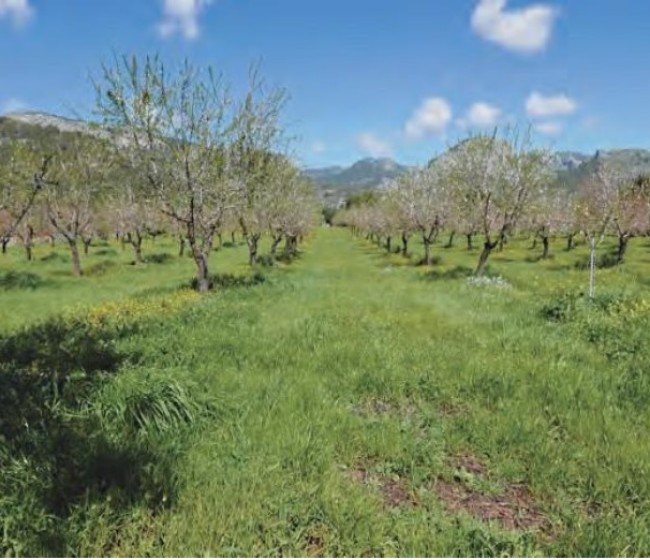 Climed Fruit: conservación de la biodiversidad en la región mediterránea para aumentar la resiliencia frente al cambio climático 