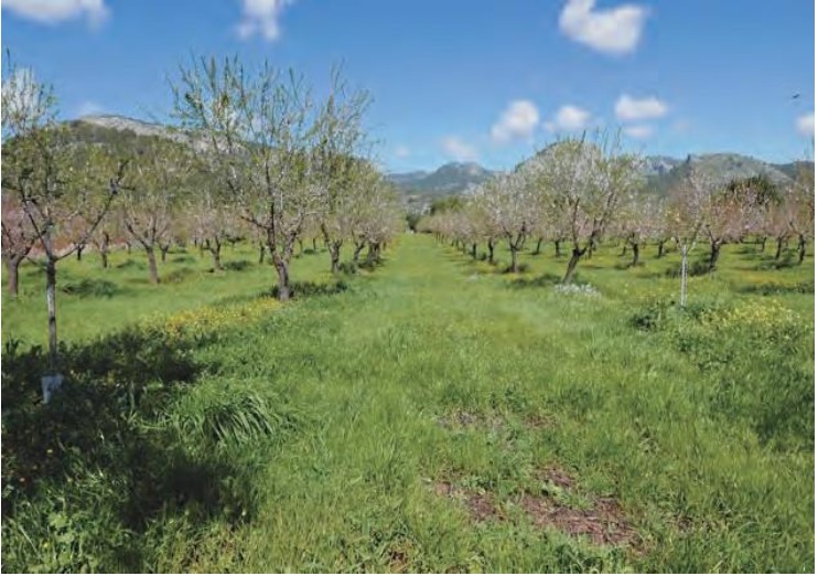 Climed Fruit: conservación de la biodiversidad en la región mediterránea para aumentar la resiliencia frente al cambio climático 